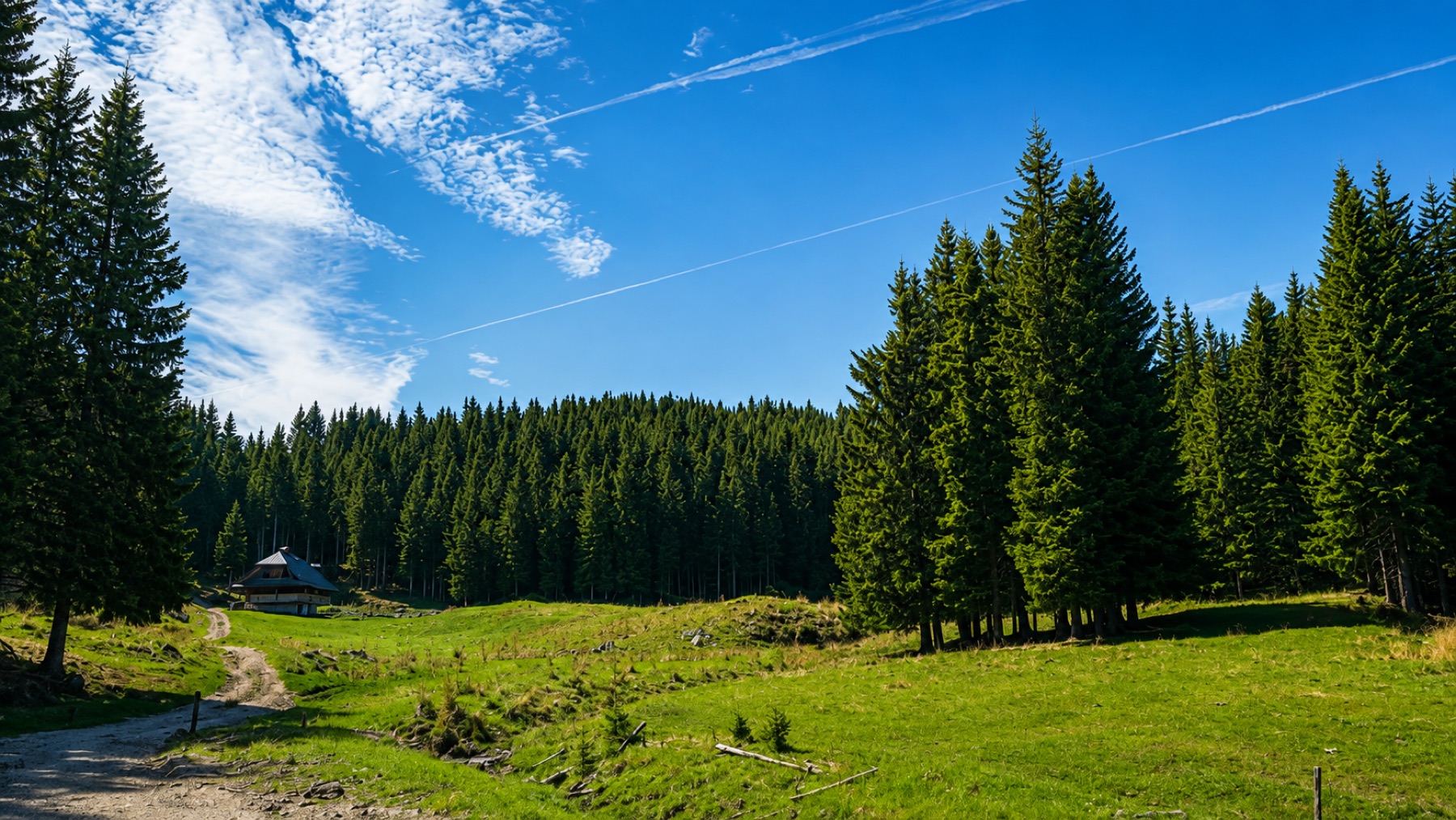 White makadam road climbing through spruce forest on the Jelovica plateau