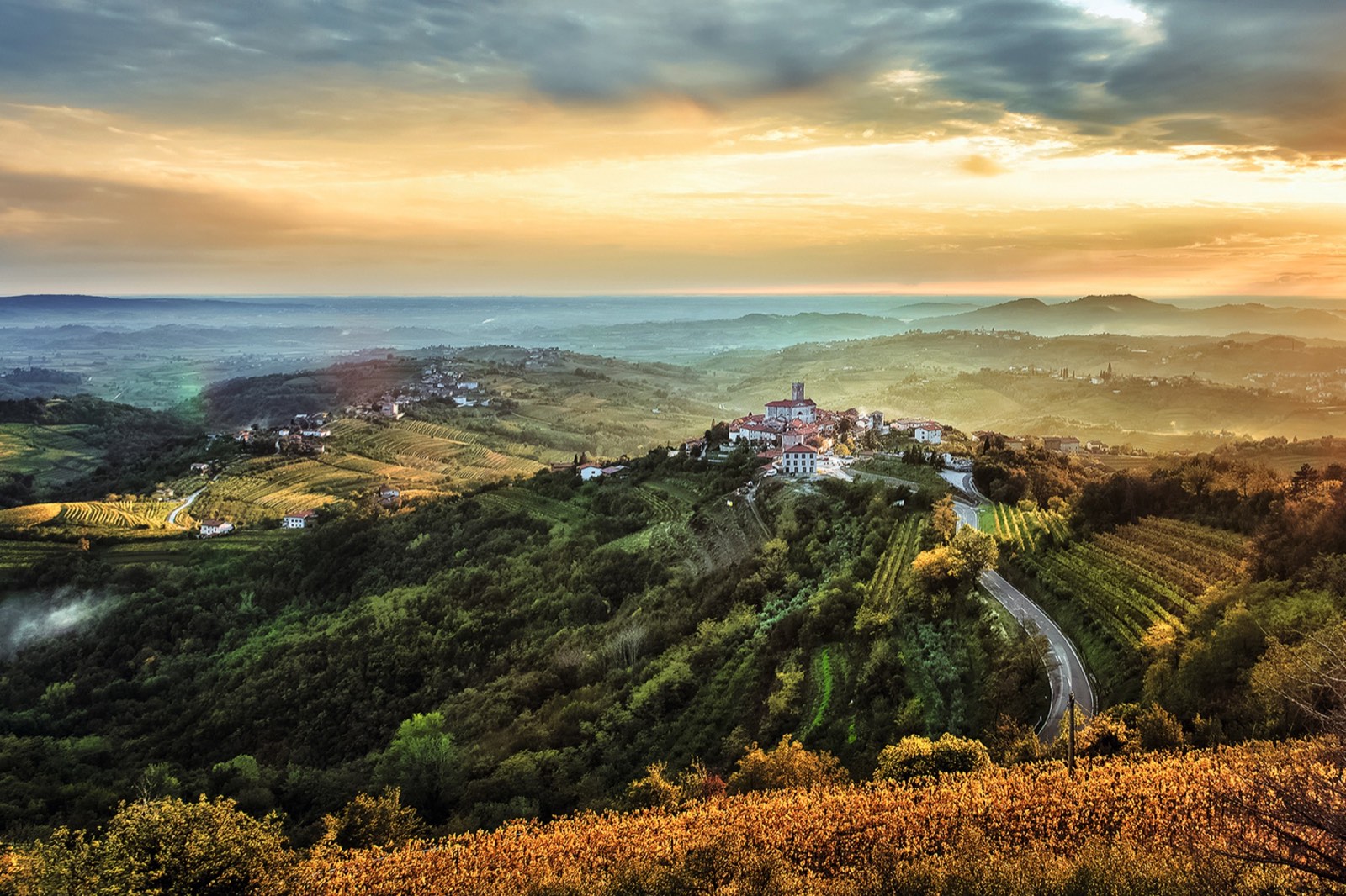 Gravel road winding through the vineyards of Goriška Brda