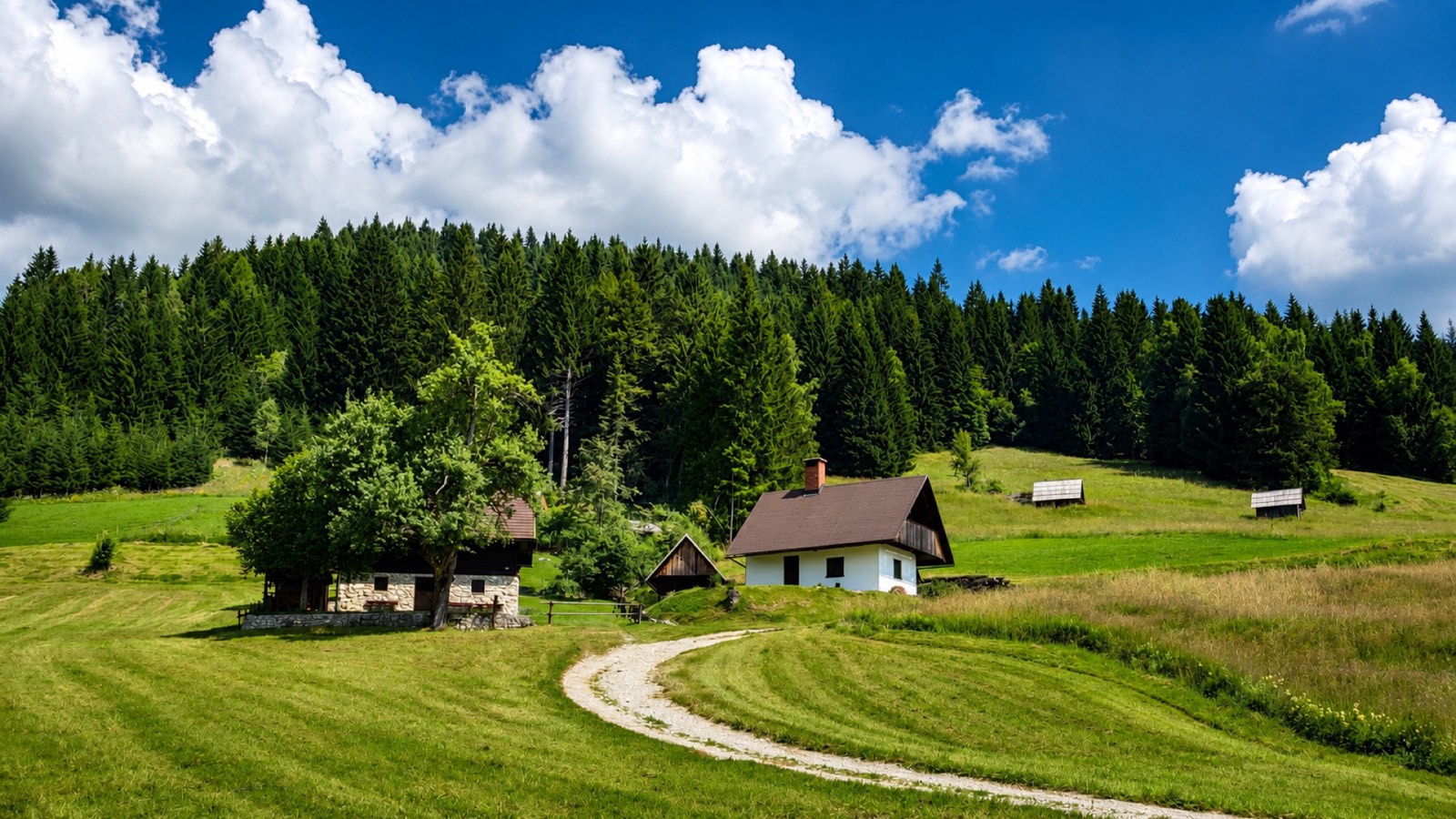 Traditional farmhouse below the forested Pokljuka plateau