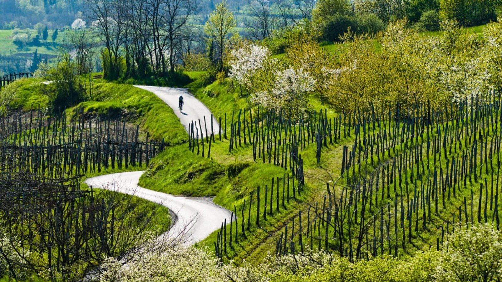 Vipava valley at the end of the route